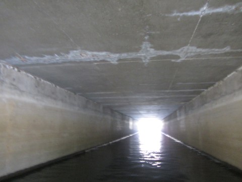 Related to a CDOT structure.